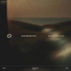Past Days (Electronic)