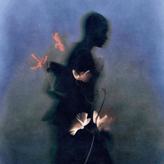 BUTTERFLY- RAVE ALL NIGHT