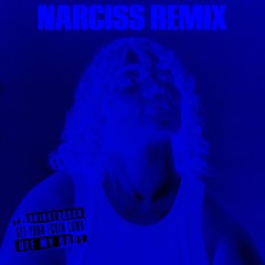 Get Your Fckn Laws Off My Body (Narciss Remix)