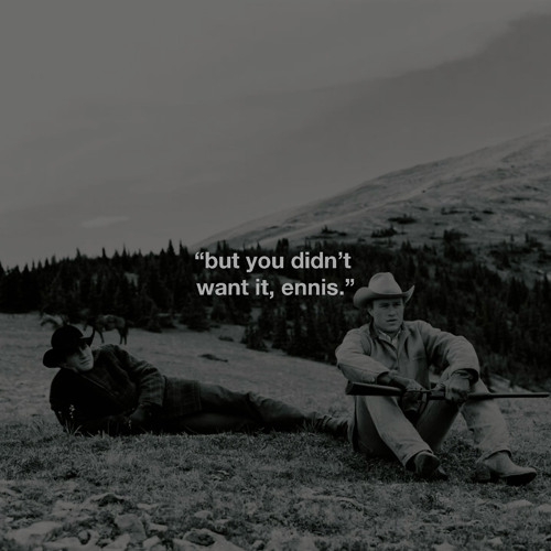 brokeback mountain x dream