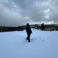 summrs - count up bluez (prod. maxmadethebeat, ucondrew) (all snippets combined)