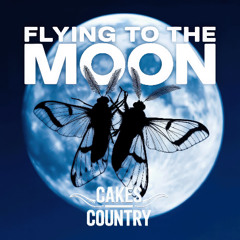 Flying To The Moon