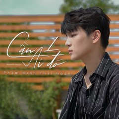Cần 1 Ai Đó (Acoustic Version) - Phạm Đình Thái Ngân