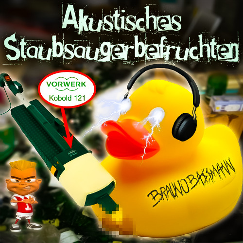 Akustisches Staubsaugerbefruchten