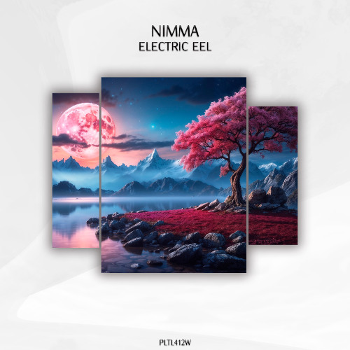 Nimma (SL) - Electic Eel [PLTL412W]