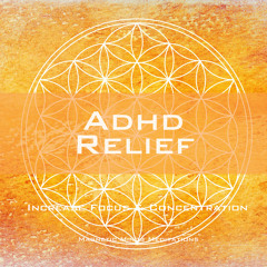 ADHD Relief (Increase Focus & Concentration)