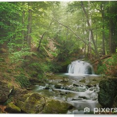 Ballade en Piano I - Forest River