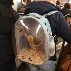 kamokun - Twin Money (prod.vollojjamoney)