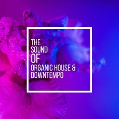 The Sound Of Organic House & Downtempo Vol.12
