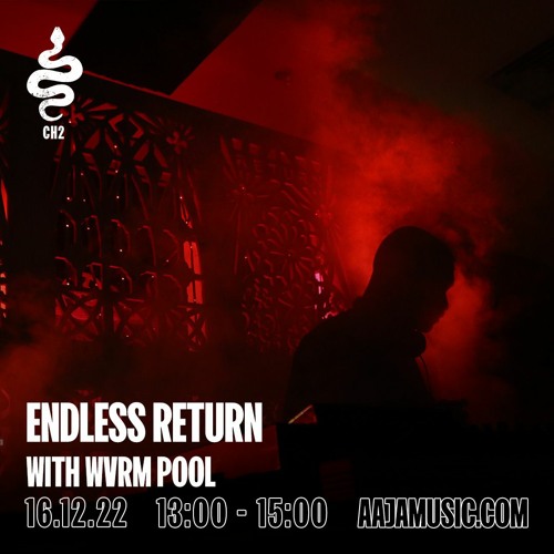 ENDLESS RETURN with WVRM POOL for AAJA Radio