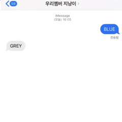 Blue&Grey - 배진영