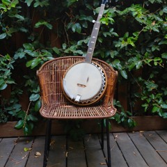 The Foggy Mountain Hillbilly Fly Away (Bluegrass Medley)