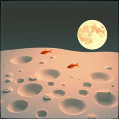 SPAZIERGANG AUF DEM MOND