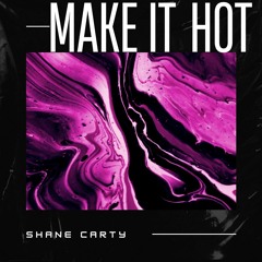 Shane Carty - Make It Hot