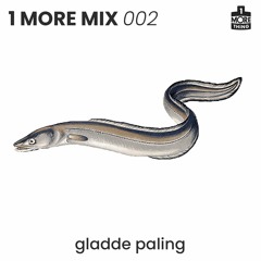 1 More Mix 002 - gladde paling