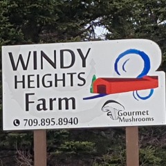Fit To Eat S3E31 Windy Heights Farm
