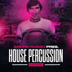 House Percussion loops Vol 1 DEMO by Andrei Russo (remastered)