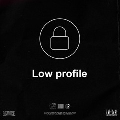 LOW PROFILE - GORDÃO CANALHA (( DJ BARNABÉ ))