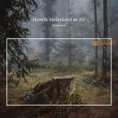 Henrik Meierkord & Ni! - Ekosystem (Album Mini-Mix)