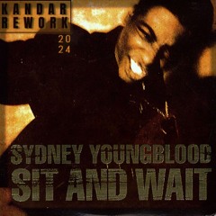 FREE DOWNLOAD: Sydney Youngblood - Sit And Wait (Kandar Rework)