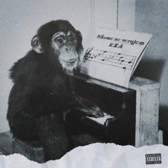 KZA - Nikome ne verujem