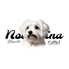 NOCCIOLINA