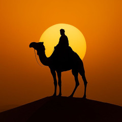 CAMEL