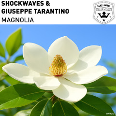 Shockwaves & Giuseppe Tarantino - Magnolia  [We Are Trance]