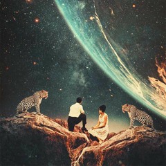 The Monopoly Of Life - It All Goes Back In The Box