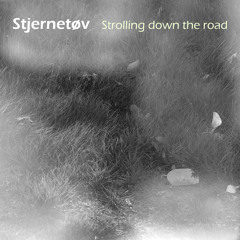 Strolling down the road