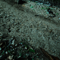 Log_20251103（demo）