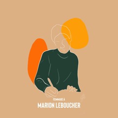 Les «coûts» de la protection contre les violences de genre. Femmage à Marion Leboucher.