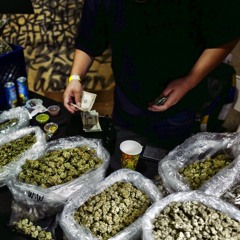 SMOKE 420 STORE - CANNABIS FAMILY 2017