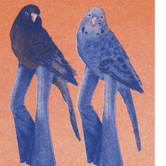 ten eleven - 11_27_24, 1.42 AM