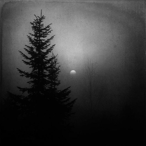 The Wolf That Traveled Alone..