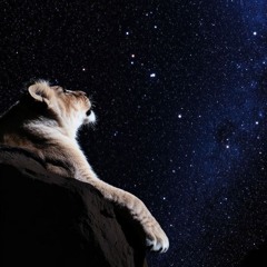 Zion lion
