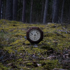 Erik Bashore - Contortion