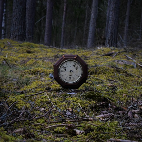 Erik Bashore - Contortion