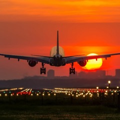 The Paradise travel...