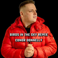 Birds In The Sky vs Houndini Legotti (Conor Donnelly Mashup)