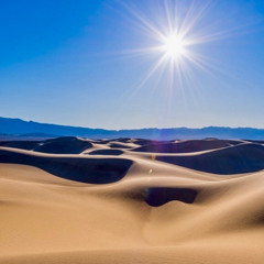 Dune Pilot