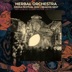 Herbal Orchestra @ Ozora 2022 | Dragon Nest