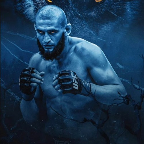 Stemm - Fallen(Instrumental Version) UFC Outro/Ending Song