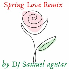 Spring Love Remix by Dj Samuel aguiar