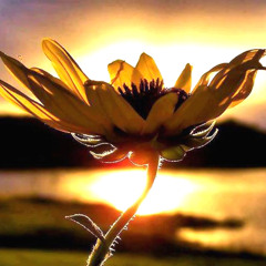 Áchim György - csoda!