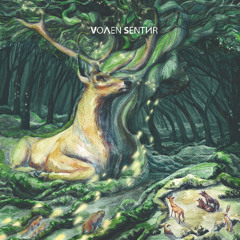 Volen Sentir - Moment Of Peace