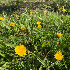 Keep It Going - Acoustic demo