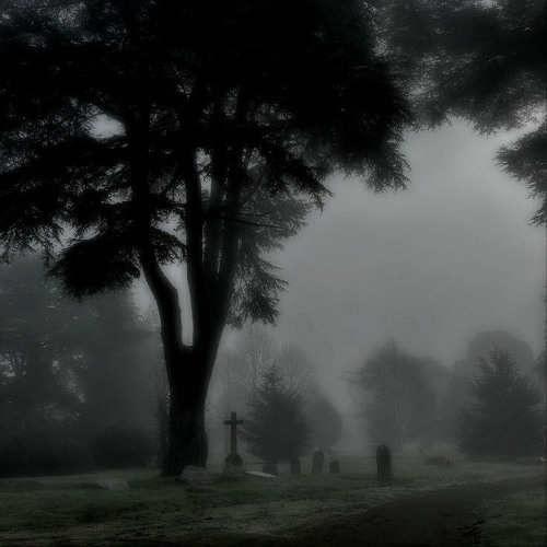 Kerosene Tree/// poison tree x kerosene /// bones