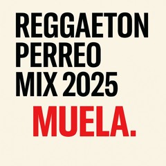 REGGAETON PERREO MIX 2025
