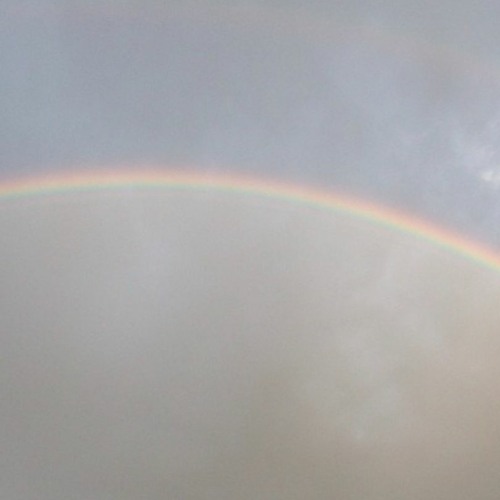 iv february 2022 samples